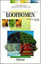 Loofbomen - Gregor Aas, Andreas Riedmiller