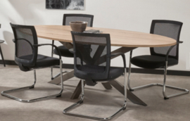 Ovale / Ellips vormige tafel 220 x 110cm