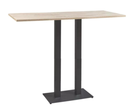 Hoge tafel model 1700 - 120x80cm hoogte 110cm