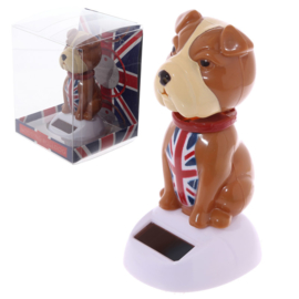 Engelse Bulldog solar pal