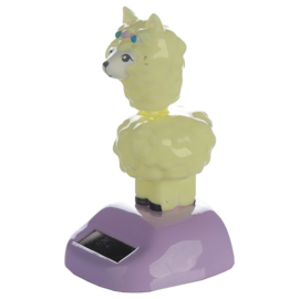 Alpaca solar