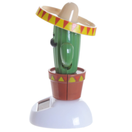 Cactus met sombrero solar pal
