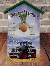 Grunneger weersteen Fendt tractor