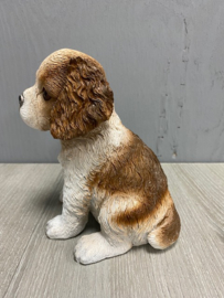 Puppie