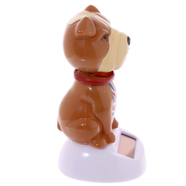 Engelse Bulldog solar pal