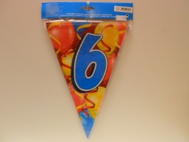 6 jaar
