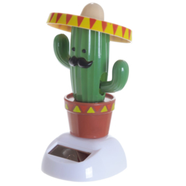 Cactus met sombrero solar pal