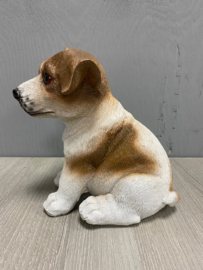 Puppie