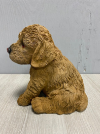 Puppie
