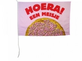 gevelvlag hoera een meisje 90x60