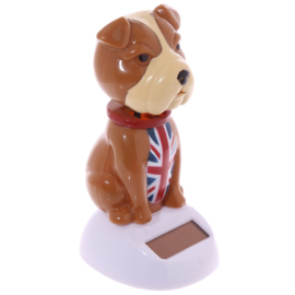 Engelse Bulldog solar pal