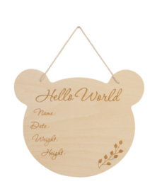 Eco Friendly Bear Wall Hanger