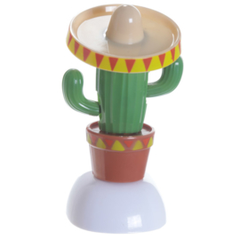 Cactus met sombrero solar pal