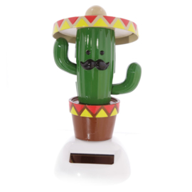 Cactus met sombrero solar pal