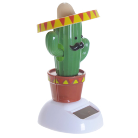 Cactus met sombrero solar pal