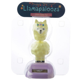 Alpaca solar