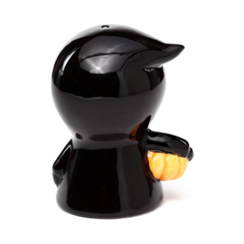 Spook peper en zoutstel