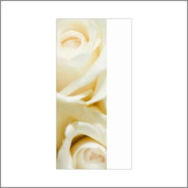 Cadeaukaartje blanco witte roos