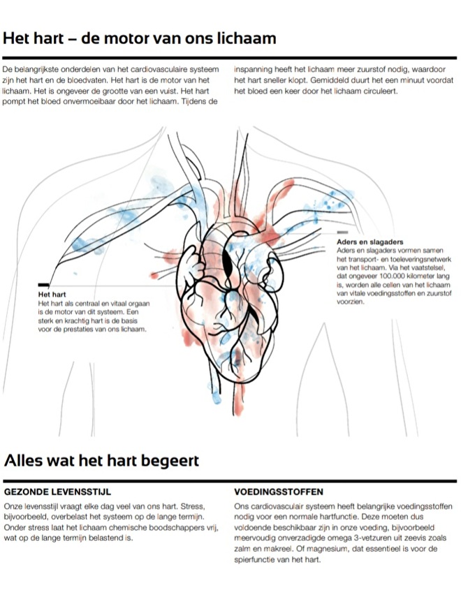 LR Health & Beauty - Hart & Bloedsomloop