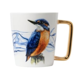 Mok IJsvogel