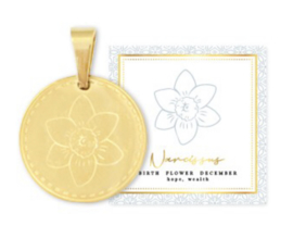 Birth flower december, goud, Witte narcis