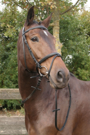 Harry's Horse Hoofdstel Bronze zw/zw