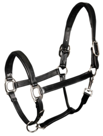 Harry's Horse Halster leder, padded