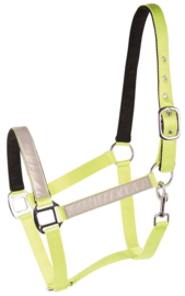 Harry's Horse Halster Reflective