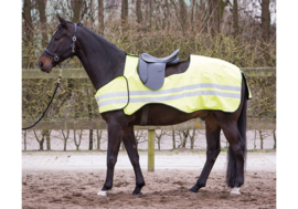 Harry's Horse Uitrijdeken Reflective