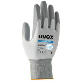 uvex phynomic FOAM (60050)