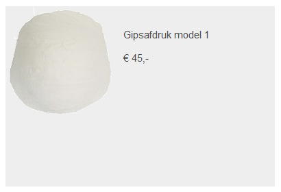 Prijs gipsafdruk