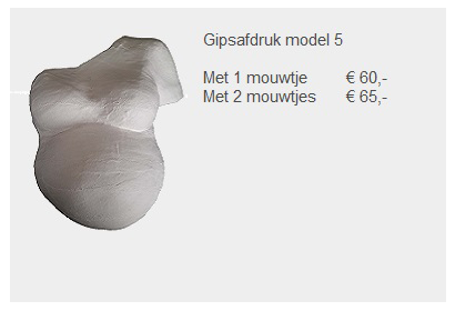 Prijs gipsafdruk