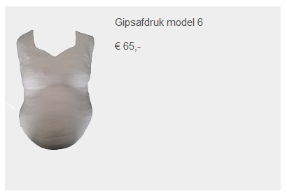 prijs gipsafdruk