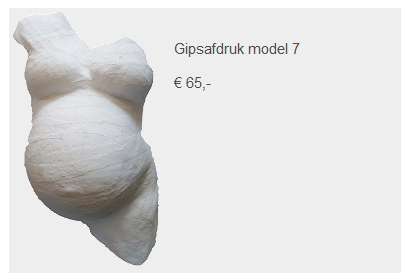 Prijs gipsafdruk