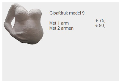 Prijs gipsafdruk