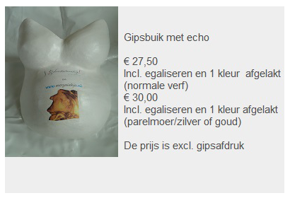 Prijs gipsbuik met echo