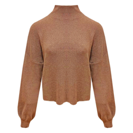 Trui met turtleneck Vicky