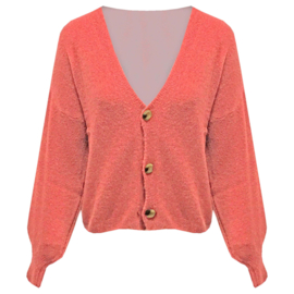 Vest Fleurtje