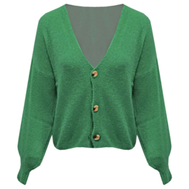Vest Fleurtje