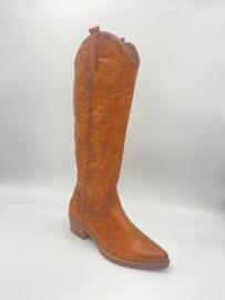 Hoge cowboy laars
