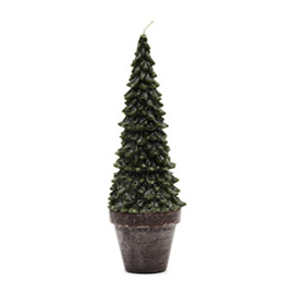 Colorado Christmas Tree Candle L
