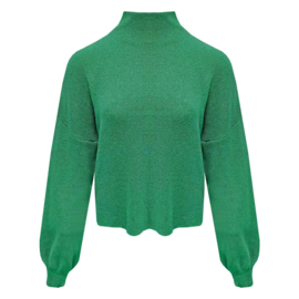 Trui met turtleneck Vicky