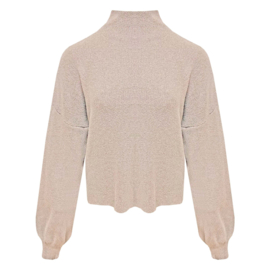 Trui met turtleneck Vicky