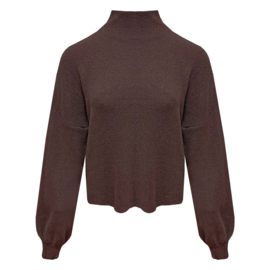 Trui met turtleneck Vicky