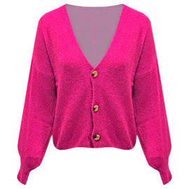Vest Fleurtje