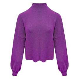Trui met turtleneck Vicky