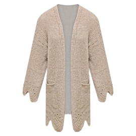 Vest Daantje