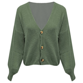Vest Fleurtje