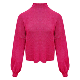 Trui met turtleneck Vicky