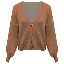 Vest Fleurtje